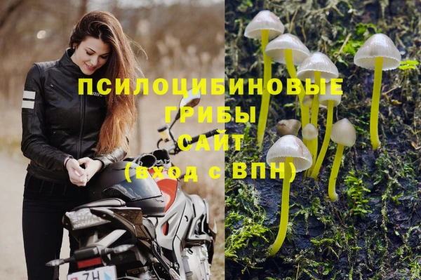бутират Алексин